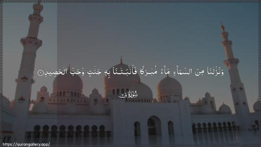 Qaaf Ayah 9 - Arabic (Wide) wallpaper