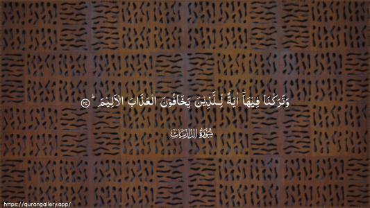 Adh-Dhaariyat Ayah 37 - Arabic (Wide) wallpaper