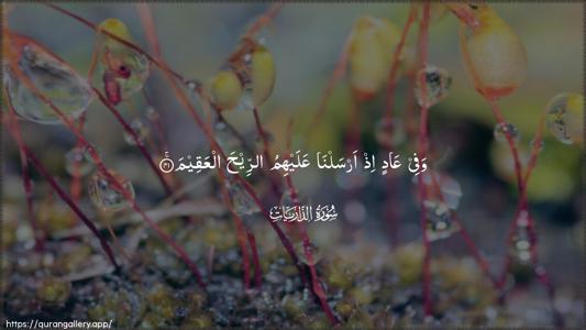Adh-Dhaariyat Ayah 41 - Arabic (Wide) wallpaper