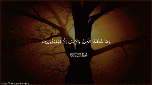 Adh-Dhaariyat Ayah 56 - Arabic (Wide) wallpaper