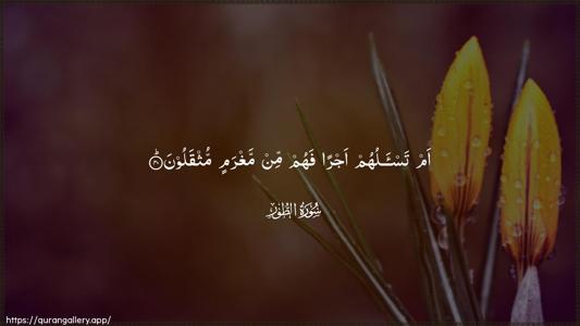 At-Tur Ayah 40 - Arabic (Wide) wallpaper