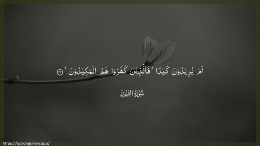 At-Tur Ayah 42 - Arabic (Wide) wallpaper