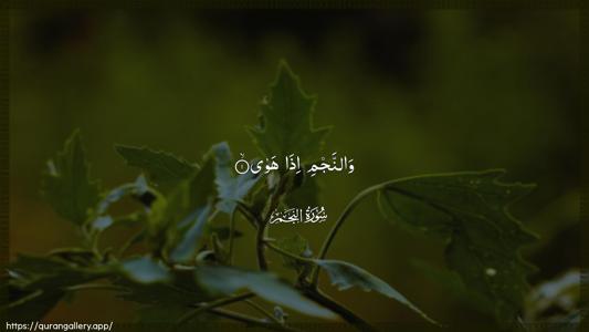 An-Najm Ayah 1 - Arabic (Wide) wallpaper