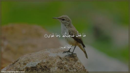 An-Najm Ayah 2 - Arabic (Wide) wallpaper