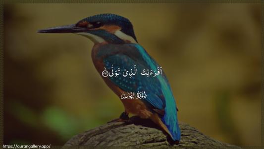 An-Najm Ayah 33 - Arabic (Wide) wallpaper