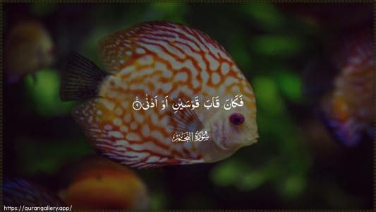 An-Najm Ayah 9 - Arabic (Wide) wallpaper