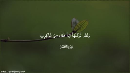 Al-Qamar Ayah 15 - Arabic (Wide) wallpaper