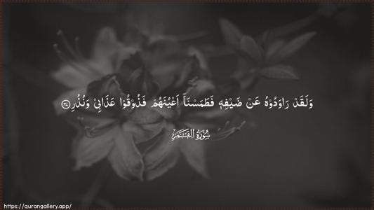 Al-Qamar Ayah 37 - Arabic (Wide) wallpaper