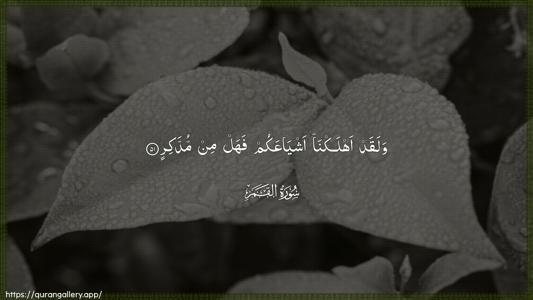 Al-Qamar Ayah 51 - Arabic (Wide) wallpaper