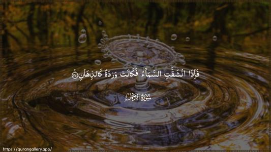 Ar-Rahmaan Ayah 37 - Arabic (Wide) wallpaper