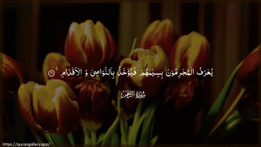 Ar-Rahmaan Ayah 41 - Arabic (Wide) wallpaper