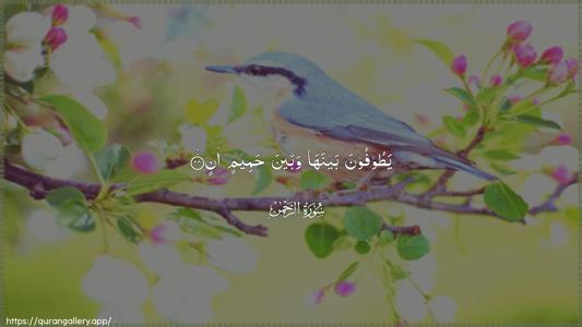Ar-Rahmaan Ayah 44 - Arabic (Wide) wallpaper