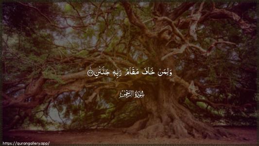Ar-Rahmaan Ayah 46 - Arabic (Wide) wallpaper