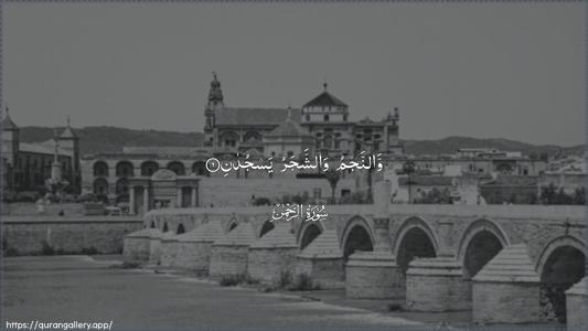 Ar-Rahmaan Ayah 6 - Arabic (Wide) wallpaper
