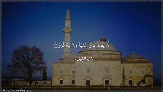 Al-Waaqia Ayah 19 - Arabic (Wide) wallpaper