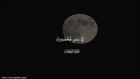 Al-Waaqia Ayah 28 - Arabic (Wide) wallpaper