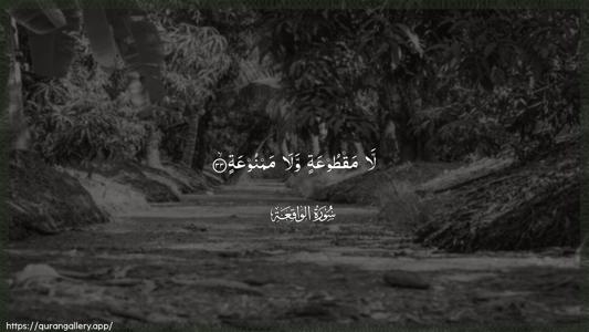Al-Waaqia Ayah 33 - Arabic (Wide) wallpaper