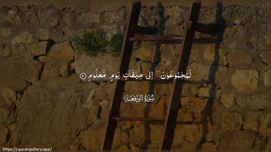 Al-Waaqia Ayah 50 - Arabic (Wide) wallpaper