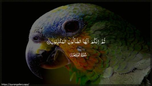 Al-Waaqia Ayah 51 - Arabic (Wide) wallpaper
