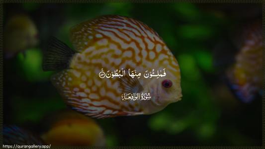 Al-Waaqia Ayah 53 - Arabic (Wide) wallpaper