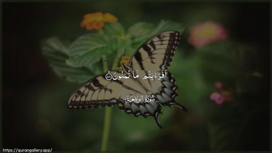 Al-Waaqia Ayah 58 - Arabic (Wide) wallpaper
