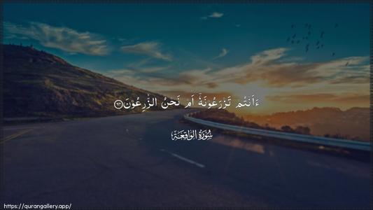 Al-Waaqia Ayah 64 - Arabic (Wide) wallpaper