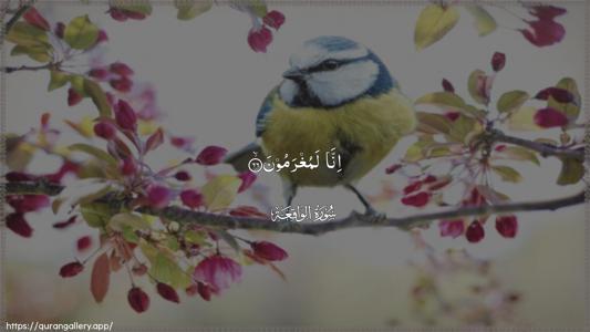 Al-Waaqia Ayah 66 - Arabic (Wide) wallpaper