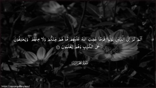 Al-Mujaadila Ayah 14 - Arabic (Wide) wallpaper