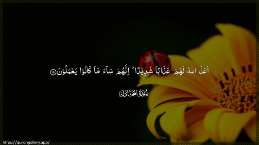Al-Mujaadila Ayah 15 - Arabic (Wide) wallpaper