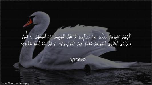 Al-Mujaadila Ayah 2 - Arabic (Wide) wallpaper