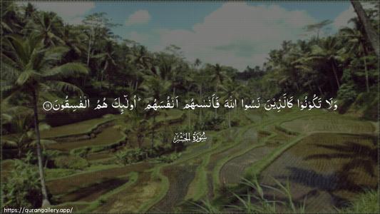 Al-Hashr Ayah 19 - Arabic (Wide) wallpaper