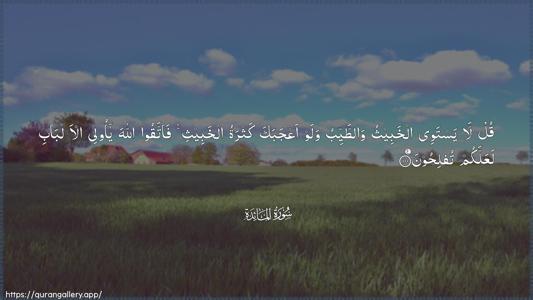 Al-Maaida Ayah 100 - Arabic (Wide) wallpaper