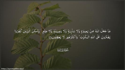 Al-Maaida Ayah 103 - Arabic (Wide) wallpaper