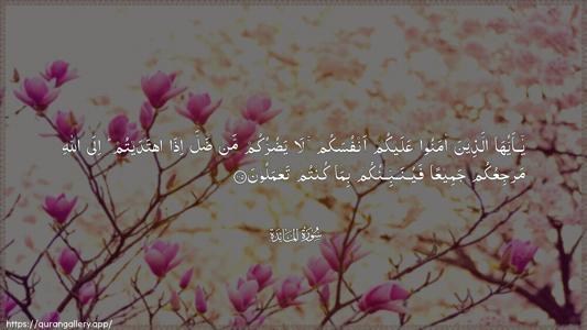 Al-Maaida Ayah 105 - Arabic (Wide) wallpaper