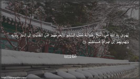 Al-Maaida Ayah 16 - Arabic (Wide) wallpaper