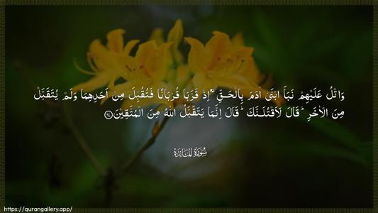 Al-Maaida Ayah 27 - Arabic (Wide) wallpaper