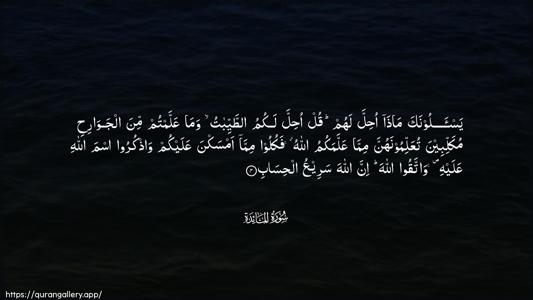 Al-Maaida Ayah 4 - Arabic (Wide) wallpaper