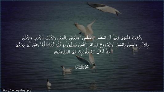 Al-Maaida Ayah 45 - Arabic (Wide) wallpaper