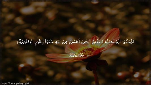 Al-Maaida Ayah 50 - Arabic (Wide) wallpaper