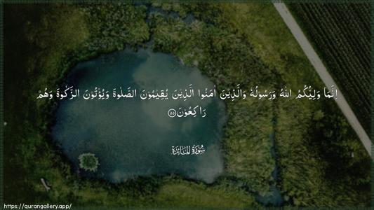 Al-Maaida Ayah 55 - Arabic (Wide) wallpaper