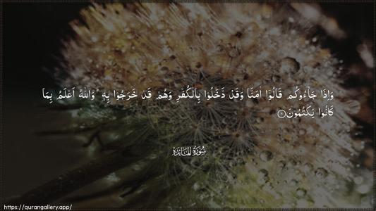 Al-Maaida Ayah 61 - Arabic (Wide) wallpaper
