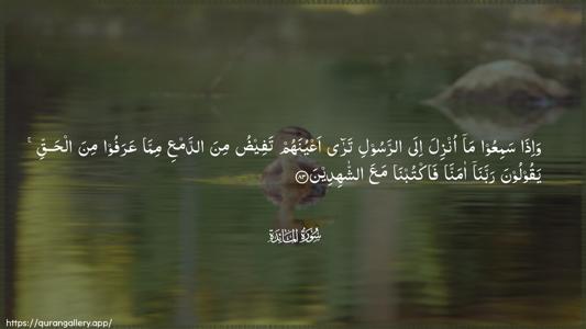 Al-Maaida Ayah 83 - Arabic (Wide) wallpaper