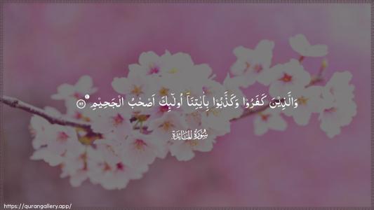 Al-Maaida Ayah 86 - Arabic (Wide) wallpaper