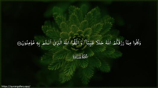 Al-Maaida Ayah 88 - Arabic (Wide) wallpaper