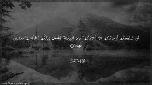 Al-Mumtahana Ayah 3 - Arabic (Wide) wallpaper