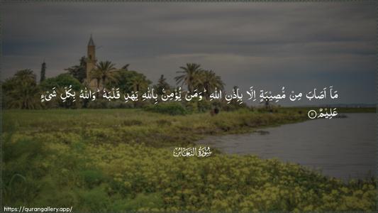 At-Taghaabun Ayah 11 - Arabic (Wide) wallpaper