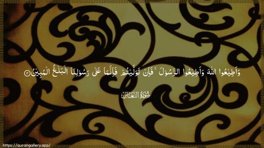 At-Taghaabun Ayah 12 - Arabic (Wide) wallpaper