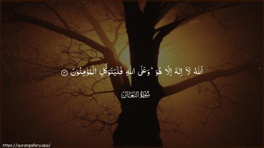 At-Taghaabun Ayah 13 - Arabic (Wide) wallpaper