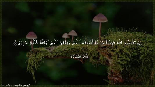 At-Taghaabun Ayah 17 - Arabic (Wide) wallpaper