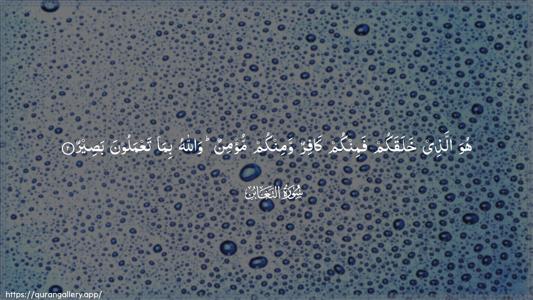 At-Taghaabun Ayah 2 - Arabic (Wide) wallpaper